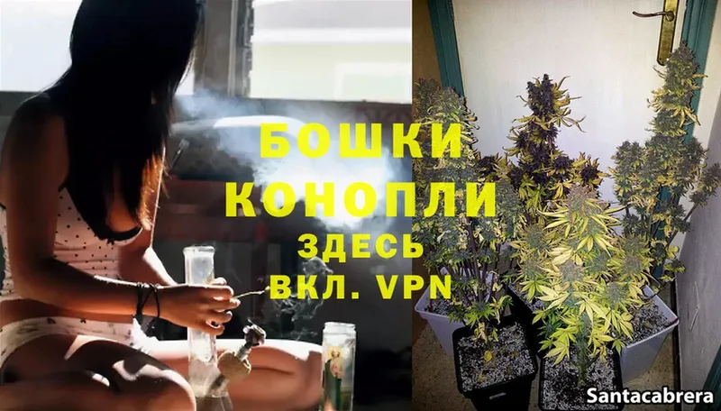 Конопля SATIVA & INDICA  KRAKEN вход  Артёмовск  купить  цена 